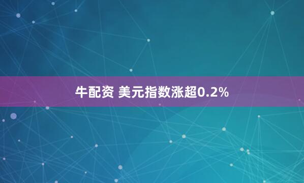 牛配资 美元指数涨超0.2%