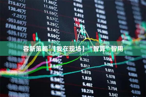 容新策略 【我在现场】“智算”智用
